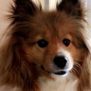 Meet your Posher, Melinda